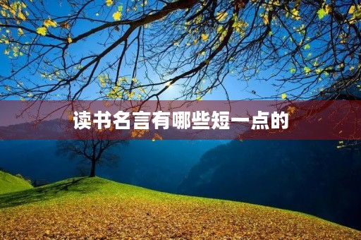 读书名言有哪些短一点的(读书名言有哪些短一点的书签)