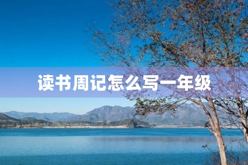 读书周记怎么写一年级