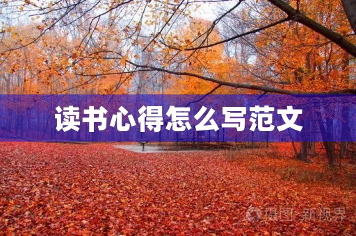 读书心得怎么写范文