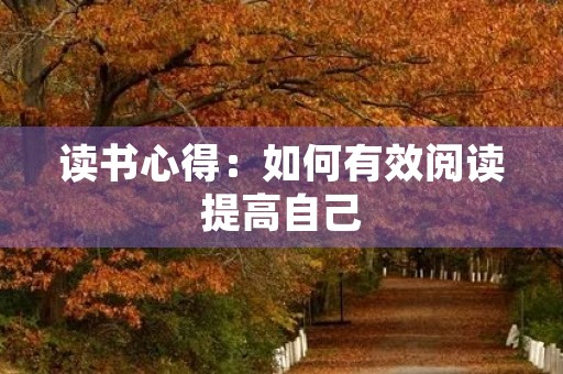 读书心得：如何有效阅读提高自己