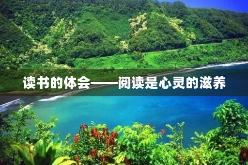 读书的体会——阅读是心灵的滋养
