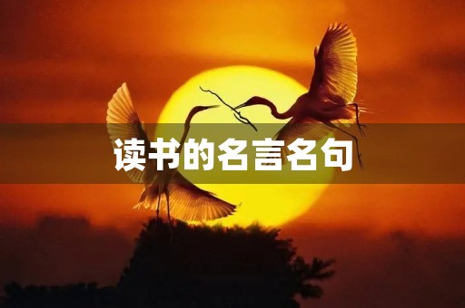 读书的名言名句(十句关于读书的名言) 读书的名言名句(十句关于读书的名言)