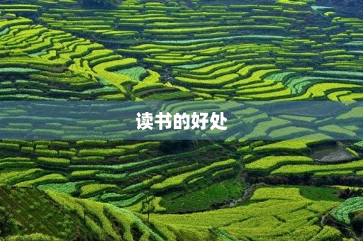 读书的好处 读书的好处