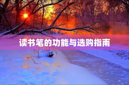 读书笔的功能与选购指南
