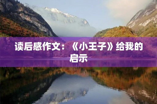 读后感作文：《小王子》给我的启示