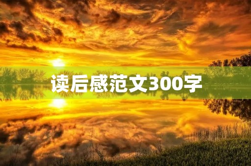 读后感范文300字