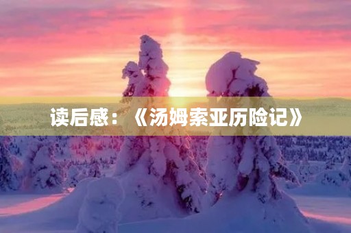 读后感：《汤姆索亚历险记》