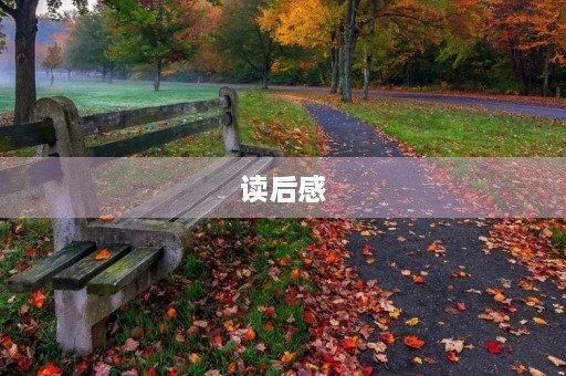 读后感