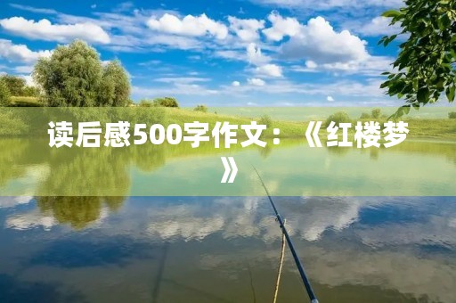 读后感500字作文：《红楼梦》
