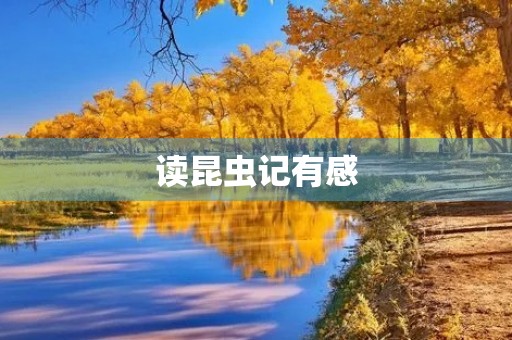 读昆虫记有感