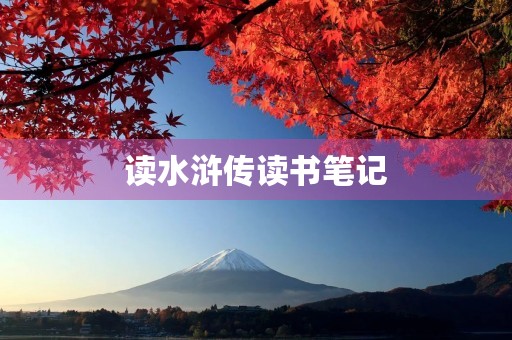 读水浒传读书笔记 读水浒传读书笔记