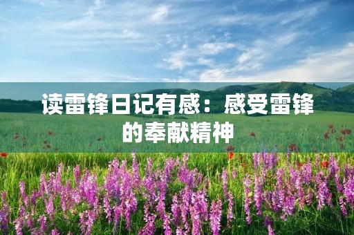 读雷锋日记有感：感受雷锋的奉献精神
