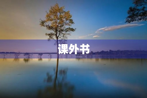 课外书 课外书