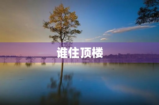 谁住顶楼
