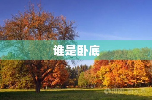 谁是卧底