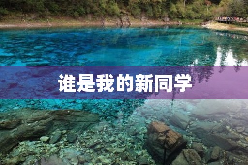 谁是我的新同学 谁是我的新同学