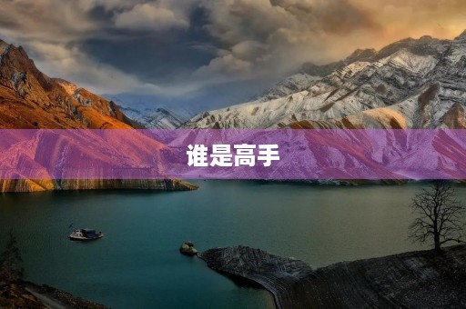 谁是高手 谁是高手