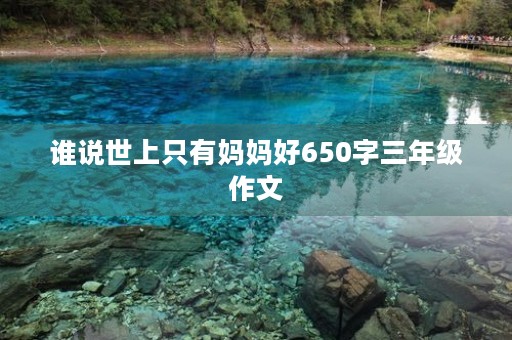 谁说世上只有妈妈好650字三年级作文 谁说世上只有妈妈好650字三年级作文