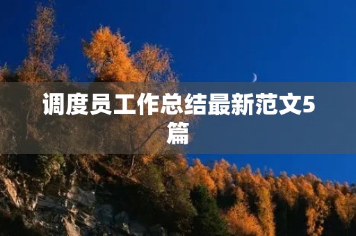 调度员工作总结最新范文5篇