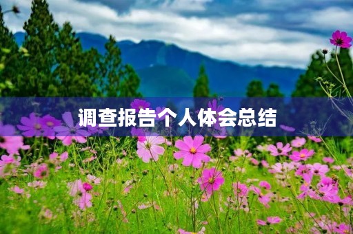 调查报告个人体会总结