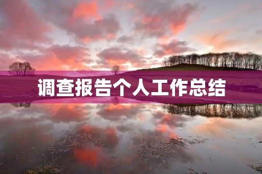 调查报告个人工作总结 调查报告个人工作总结