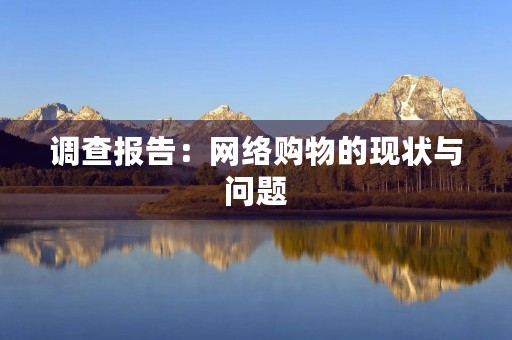 调查报告:网络购物的现状与问题 调查报告:网络购物的现状与问题
