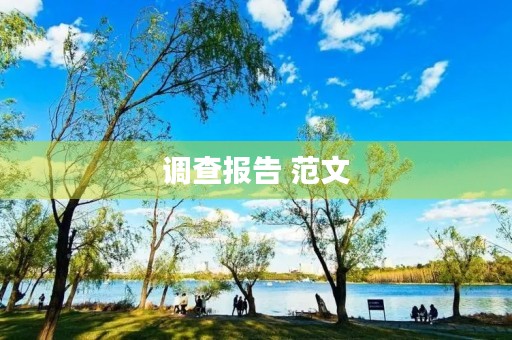 调查报告 范文，个人工作调研报告范文