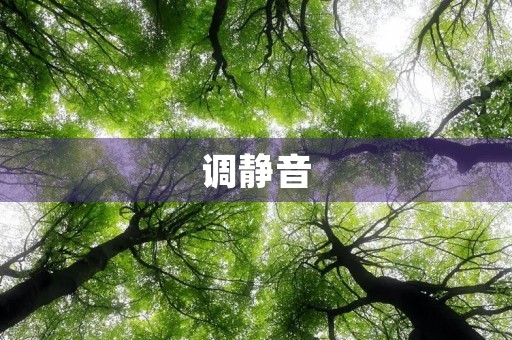 调静音 调静音
