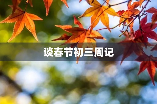 谈春节初三周记 谈春节初三周记