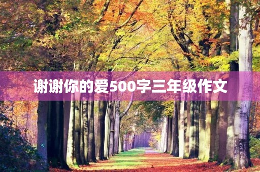 谢谢你的爱500字三年级作文 谢谢你的爱500字三年级作文