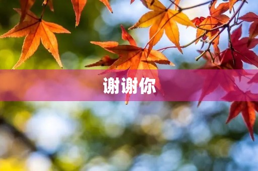 谢谢你，外公