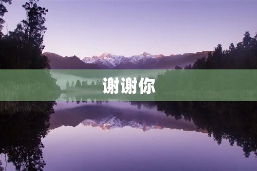 谢谢你，日记400字