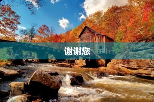 谢谢您，母亲！550字三年级作文