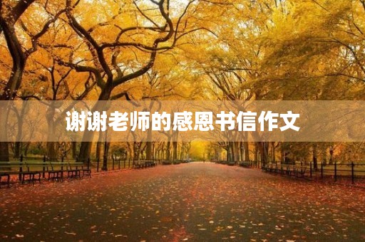 谢谢老师的感恩书信作文 谢谢老师的感恩书信作文