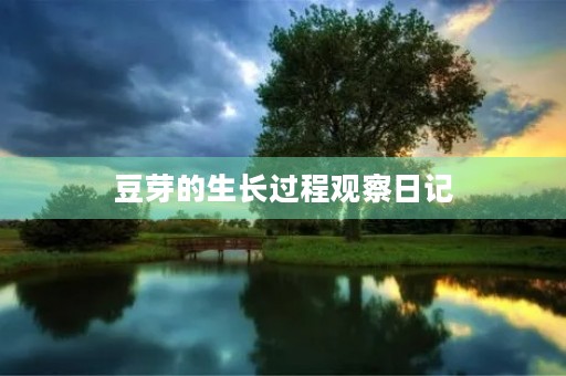 豆芽的生长过程观察日记