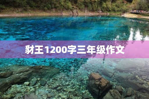 豺王1200字三年级作文 豺王1200字三年级作文