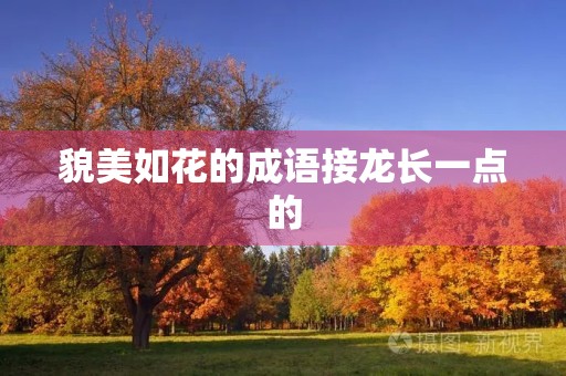 貌美如花的成语接龙长一点的