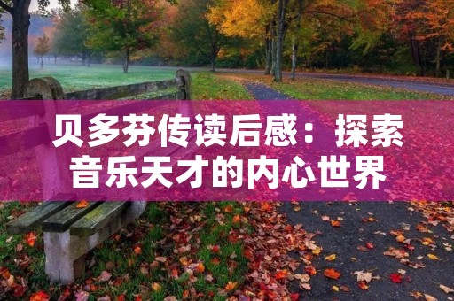 贝多芬传读后感:探索音乐天才的内心世界 贝多芬传读后感:探索音乐天才的内心世界