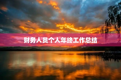 财务人员个人年终工作总结