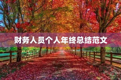财务人员个人年终总结范文