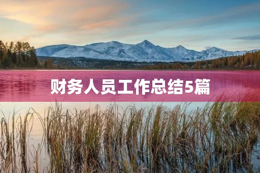 财务人员工作总结5篇
