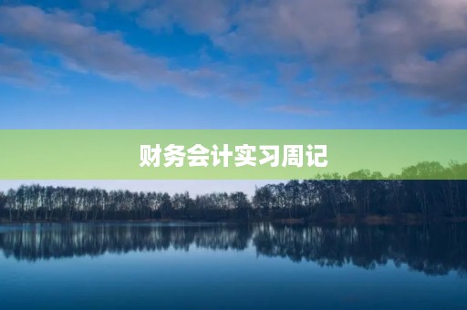 财务会计实习周记