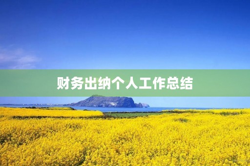 财务出纳个人工作总结 财务出纳个人工作总结