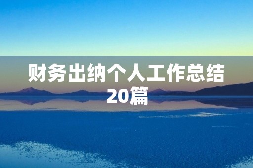 财务出纳个人工作总结20篇