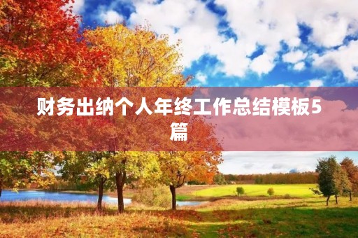 财务出纳个人年终工作总结模板5篇