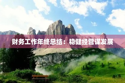 财务工作年终总结：稳健经营谋发展