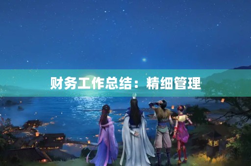 财务工作总结：精细管理，务实担当