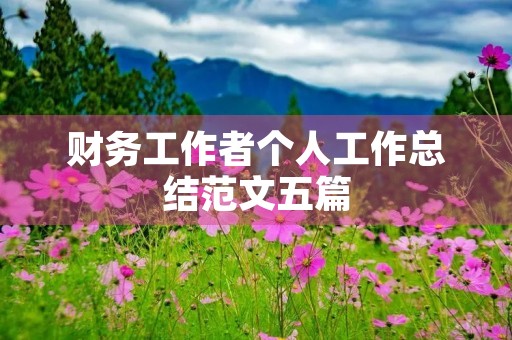 财务工作者个人工作总结范文五篇