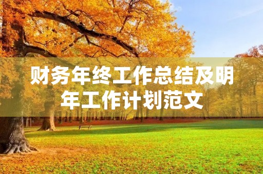 财务年终工作总结及明年工作计划范文