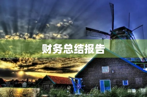 财务总结报告